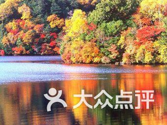 清理脏乱的宫殿