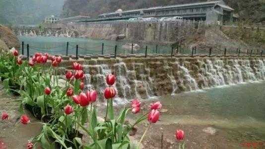 逃离废弃自然公园