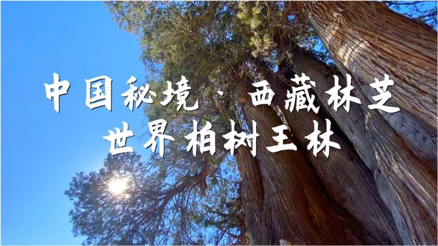 婧婧整理卧室