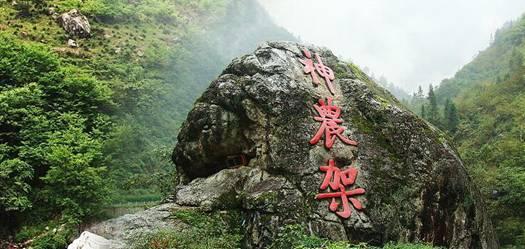 脑洞小老弟无实名认证