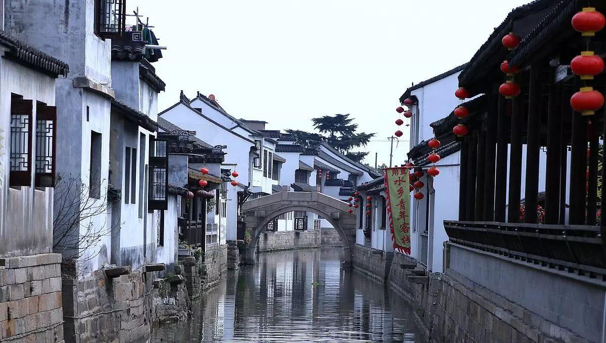 森林的奇迹